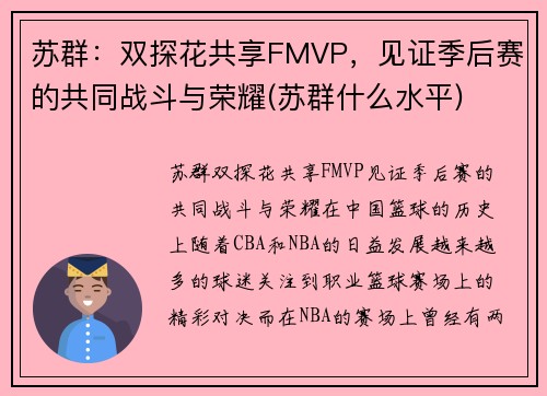 苏群：双探花共享FMVP，见证季后赛的共同战斗与荣耀(苏群什么水平)